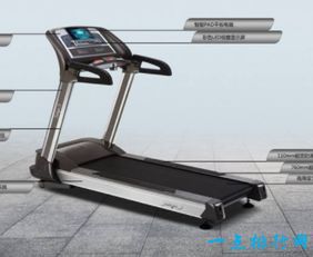 舒华跑步机领跑行业 十大品牌盘点与体育零售市场解析